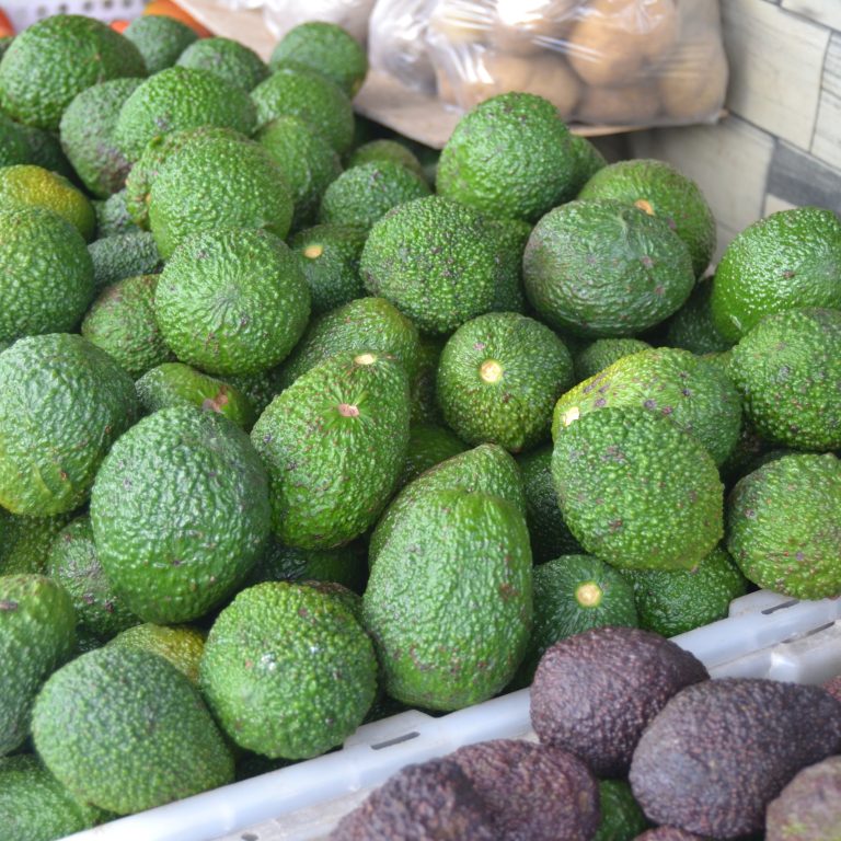 avocado khas