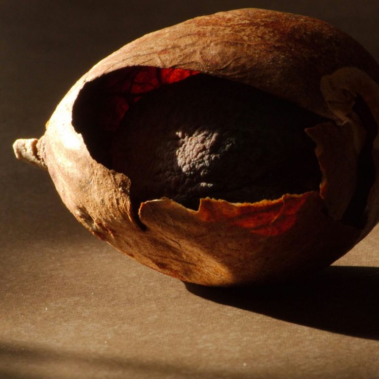 danielle-claude-belanger-zxUEEs1uTqo-unsplash