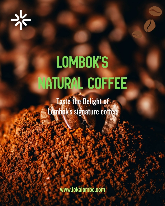 Avocado hass (Konten Instagram (4_5))_20251220_142852_0000